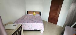 Oleander Towers (D12), Apartment #564769761